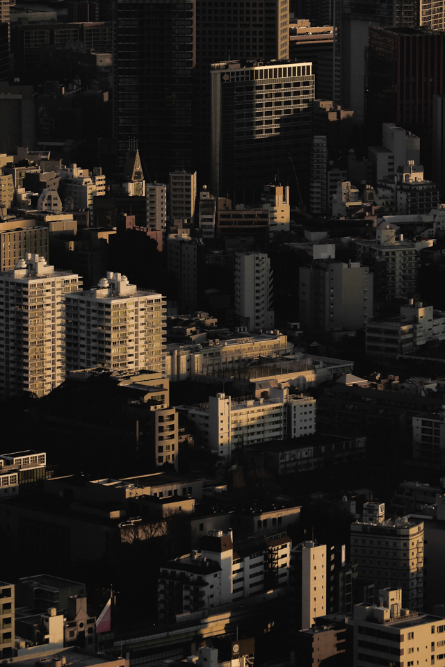 placeholder image-sq