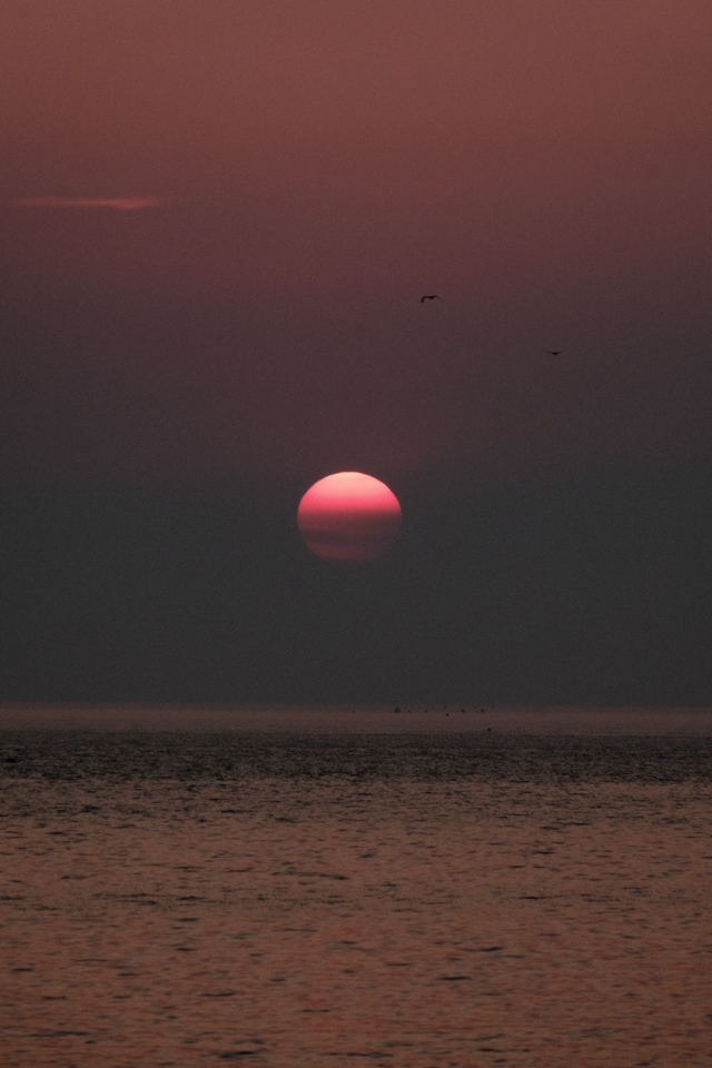 placeholder image-sq