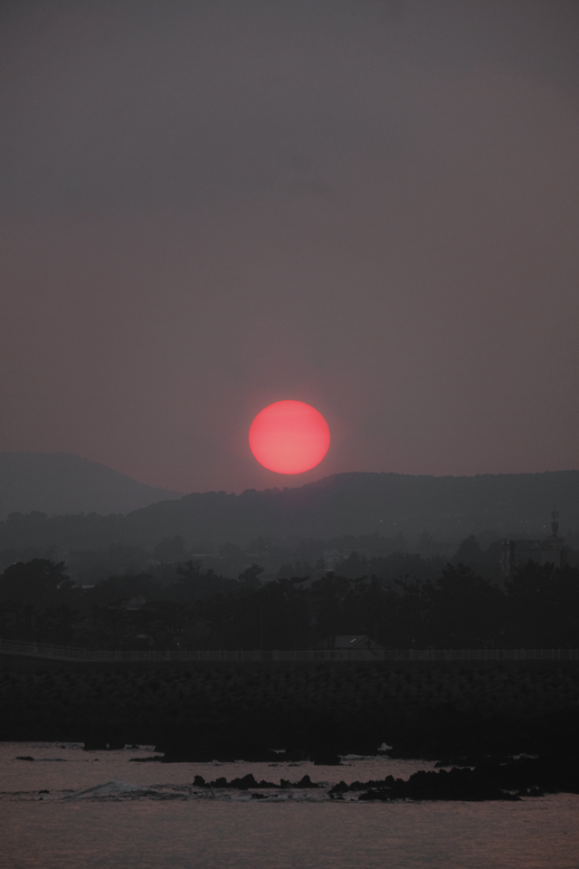 placeholder image-sq