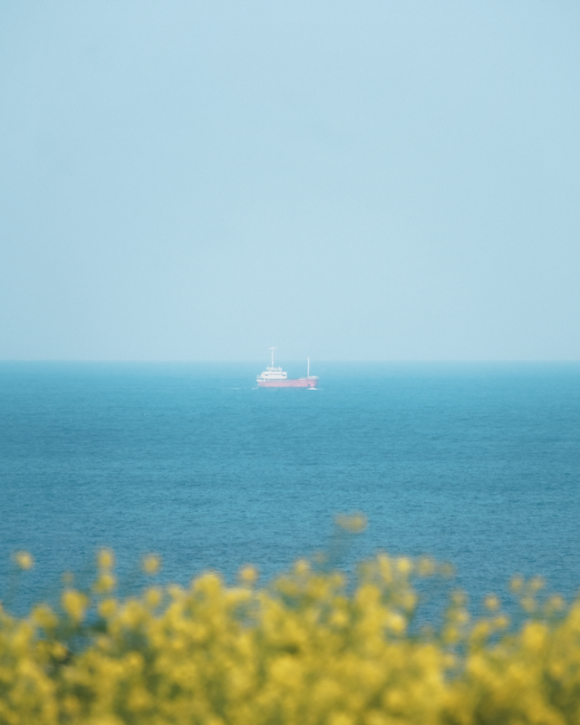 placeholder image-sq