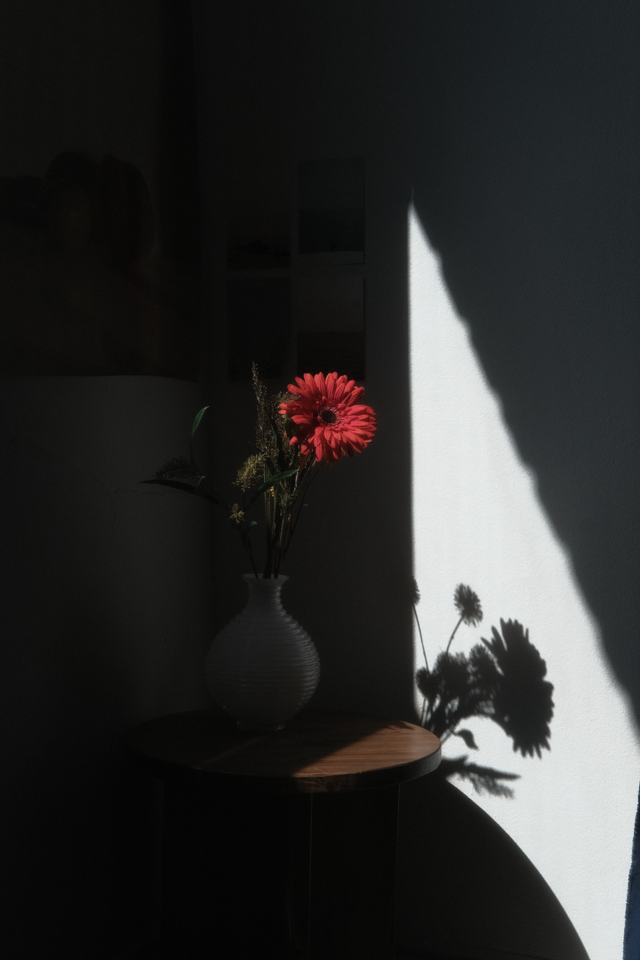 placeholder image-sq