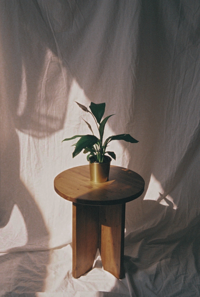 placeholder image-sq